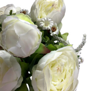 Cabbage Rose Bush - 50cm / White -1