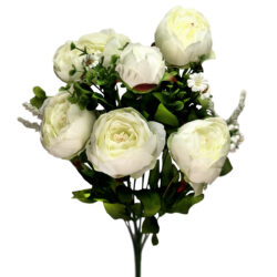Cabbage Rose Bush - 50cm / White -1