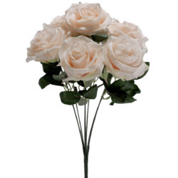 Mia Rose Bush - 48cm / Champagne