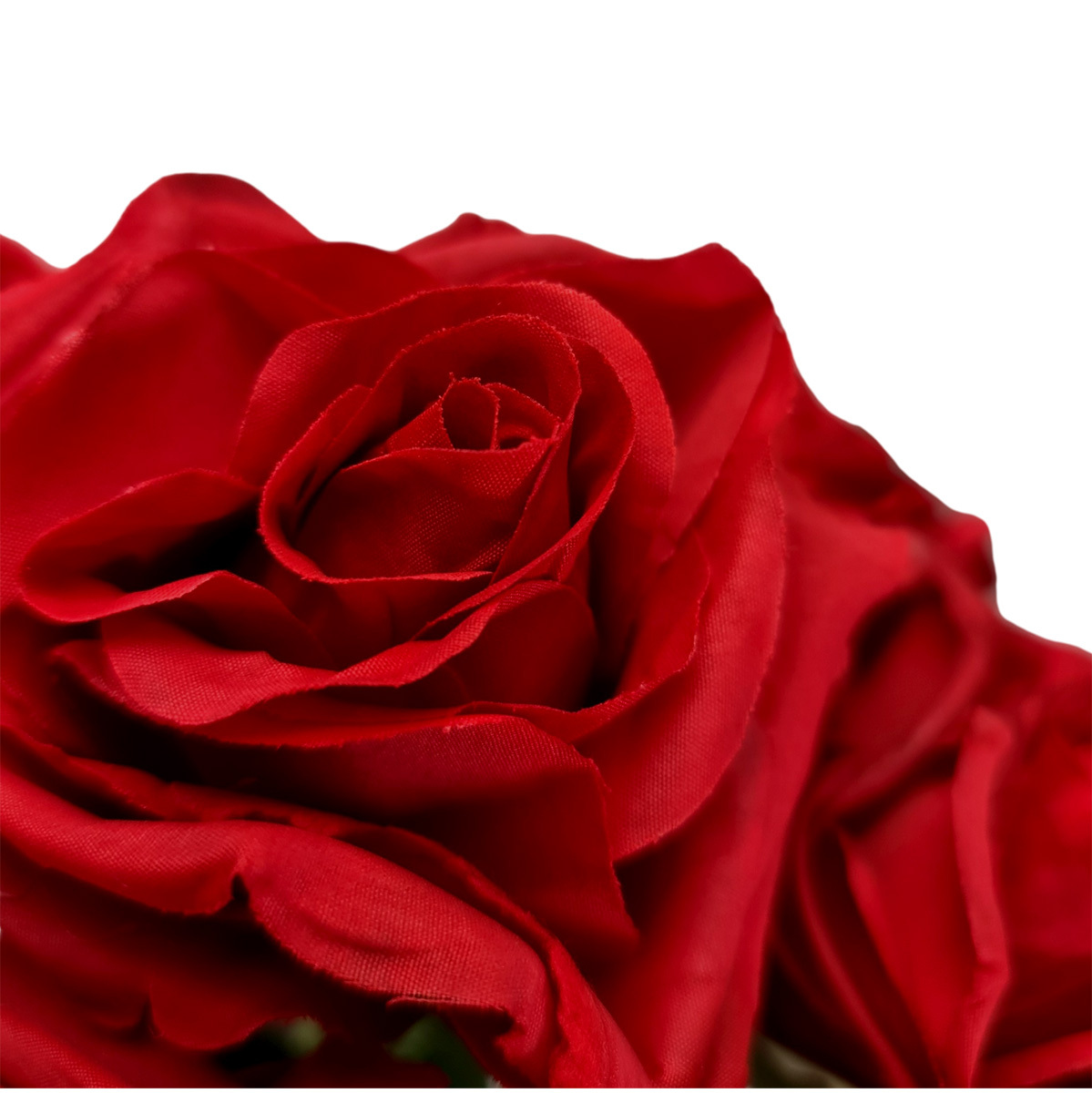 Mia Rose Bush - 48cm / Red -1