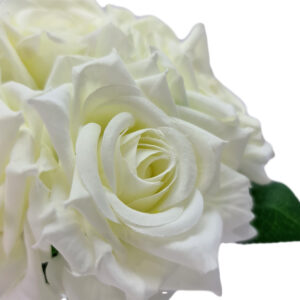 Monaco Rose Bundle - 24cmL / White -1