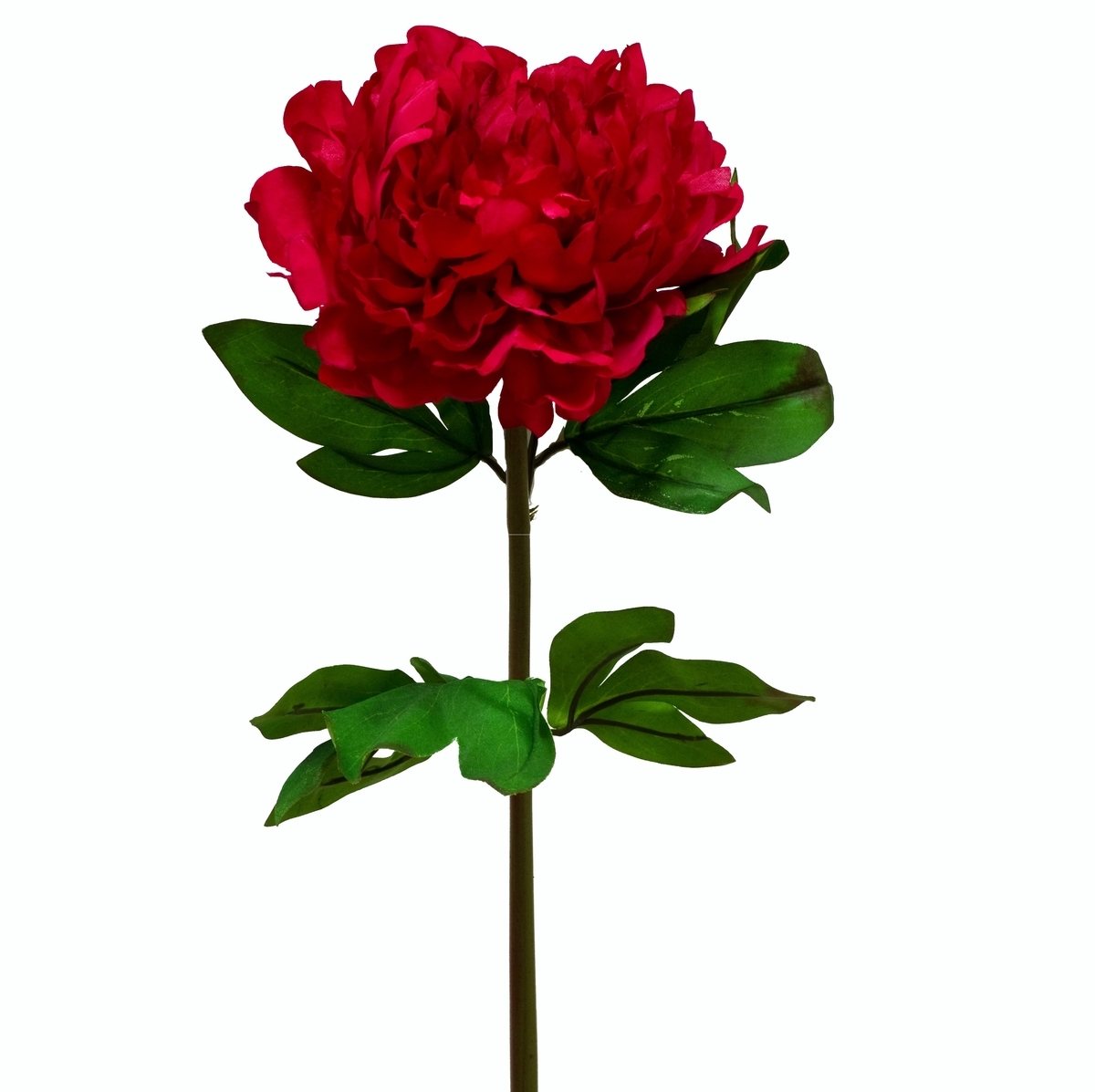 Full Bloom Peony - 70cm L / Crimson