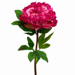 Full Bloom Peony - 70cm L / Fuchsia