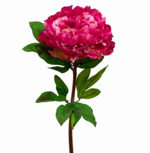 Full Bloom Peony - 70cm L / Fuchsia