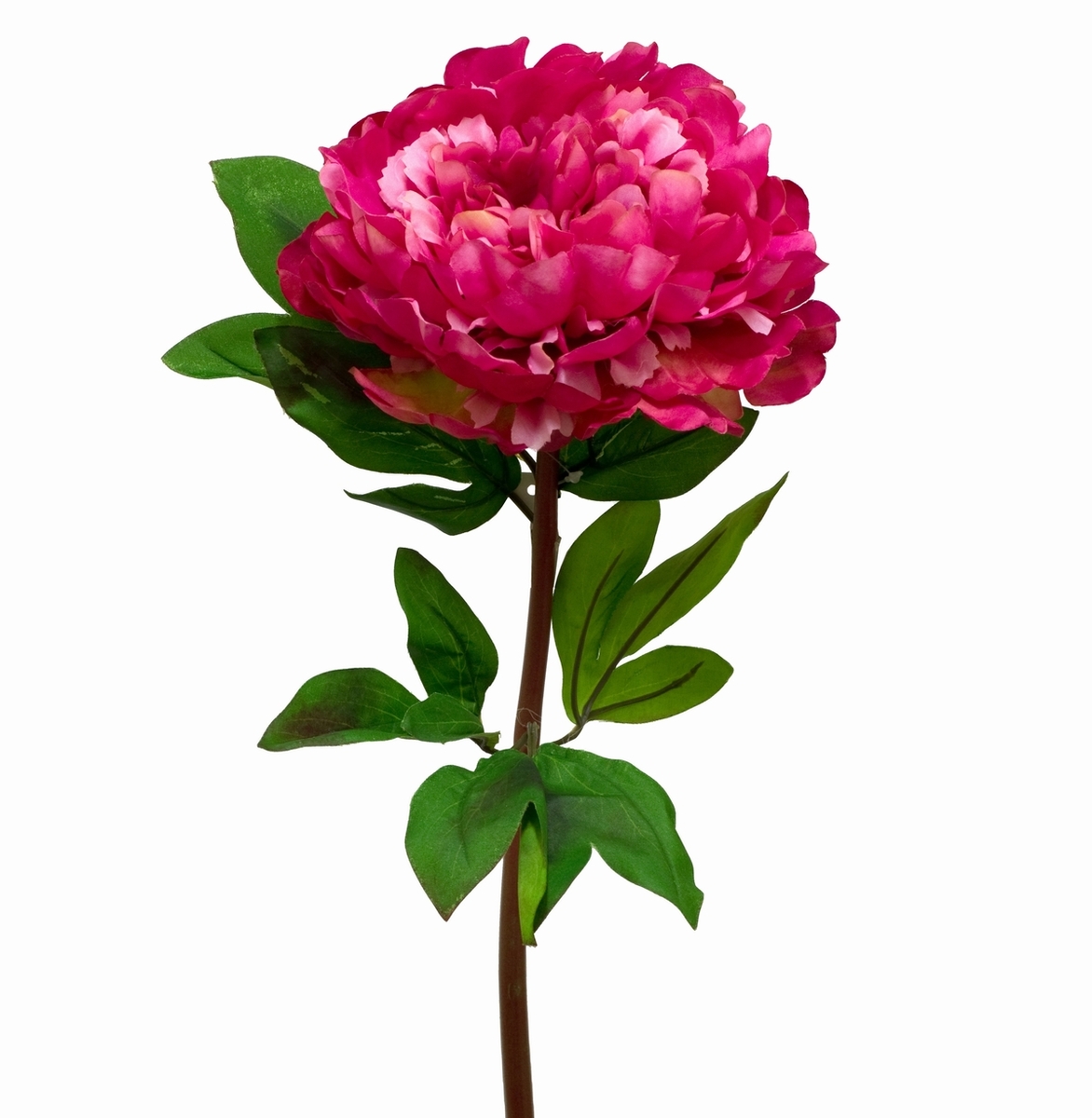 Full Bloom Peony - 70cm L / Fuchsia