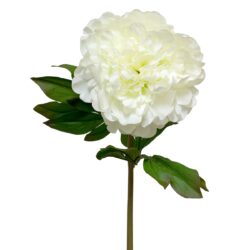 Full Bloom Peony - 70cm L / White