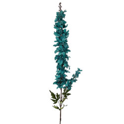Pacific Delphinium - 125cmL / Blue