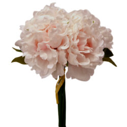Flute Peony Bundle - 25cm / Lt Pink