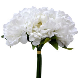 Flute Peony Bundle - 25cm / White