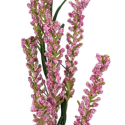 Stock Spray - 72cmL / Pink -1