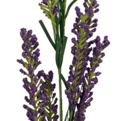 Stock Spray - 72cmL / Purple -1