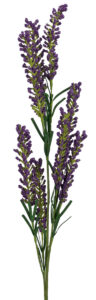 Stock Spray - 72cmL / Purple -1