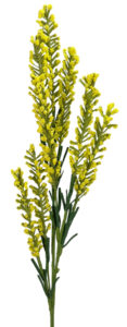 Stock Spray - 72cmL / Yellow -1
