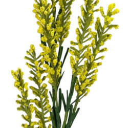 Stock Spray - 72cmL / Yellow -1
