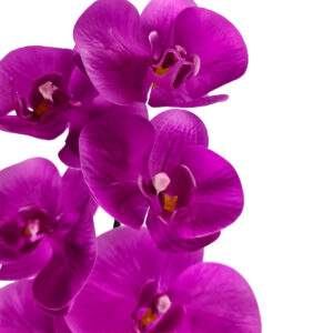 Real Touch Phalaenopsis Orchid x 9 - 100cm L / Purple -1