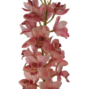 Artificial Cymbidium Orchid Spray - 85cmL / Mauve Pink -1