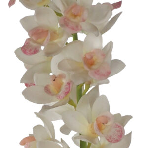 Artificial Cymbidium Orchid Spray 85cmL / White -1