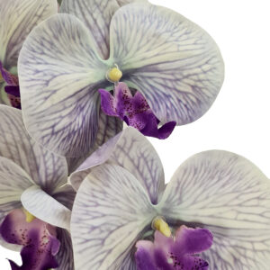 Allure Real Touch Artificial Phalaenopsis Orchid - 85cmL / Lavender/Grey -1