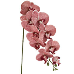 Allure Real Touch Artificial Phalaenopsis Orchid - 85cmL / Pink -1