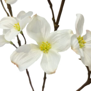 Artificial Dogwood Spray - 85cmL / White -1