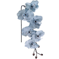 Soft Touch Phalaenopsis Orchid - 77cmL / Blue