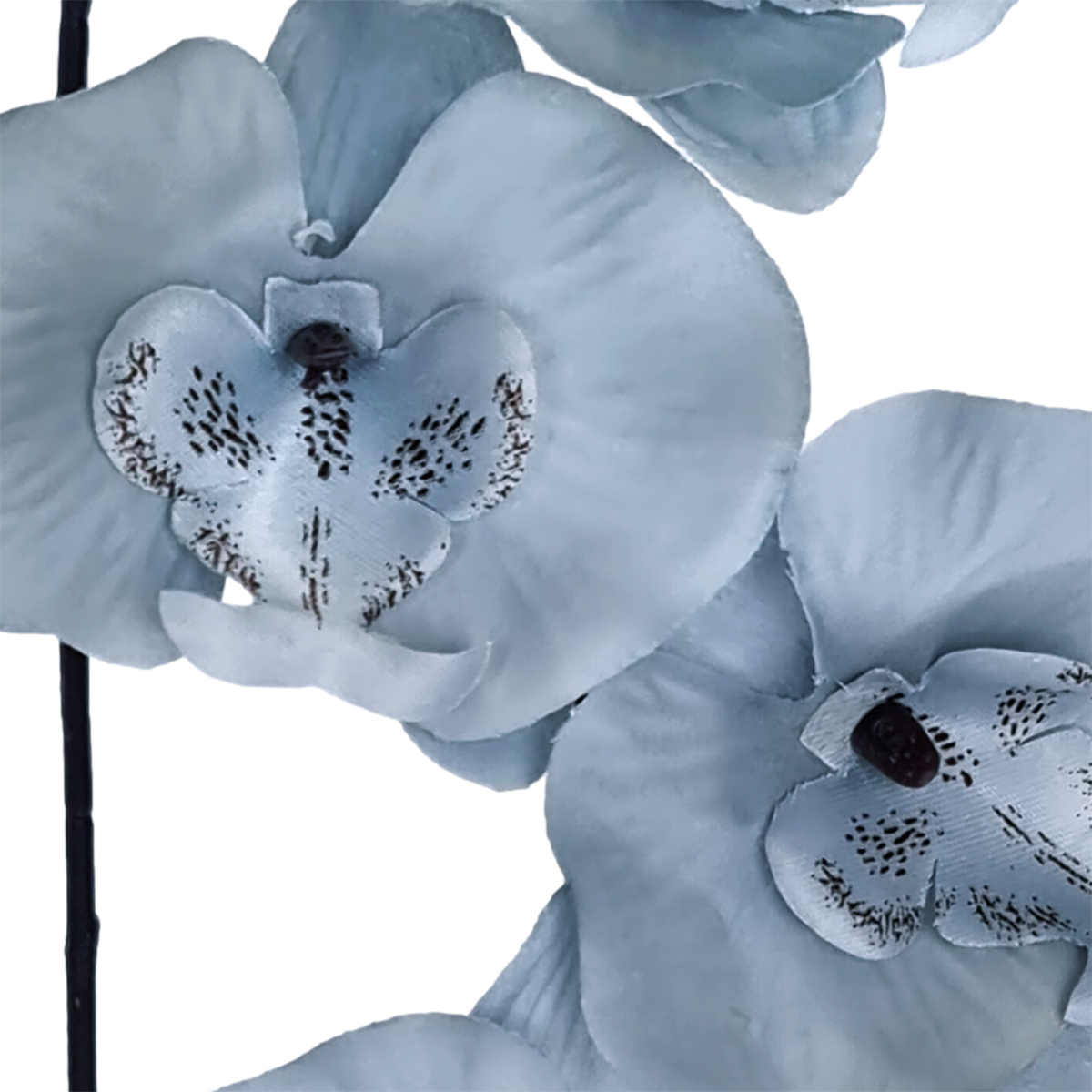 Soft Touch Phalaenopsis Orchid - 77cmL / Blue - Image 2