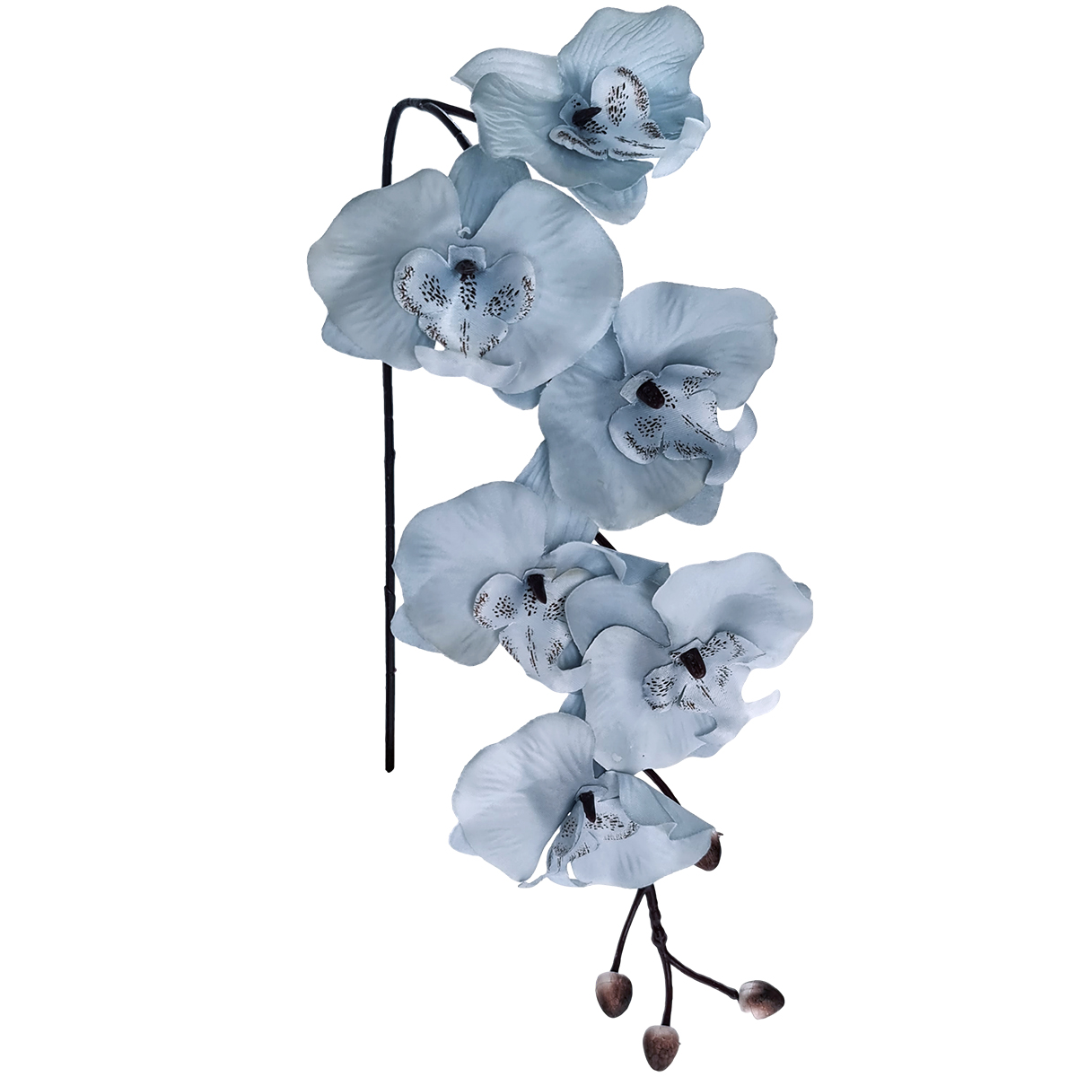 Soft Touch Phalaenopsis Orchid - 77cmL / Blue