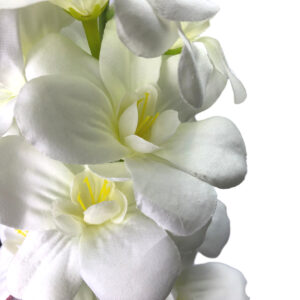 Delphinium - 92cm / White -1