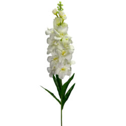 Delphinium - 92cm / White -1