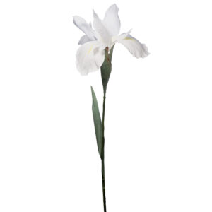 Artificial Iris Flower - 77cmL / White