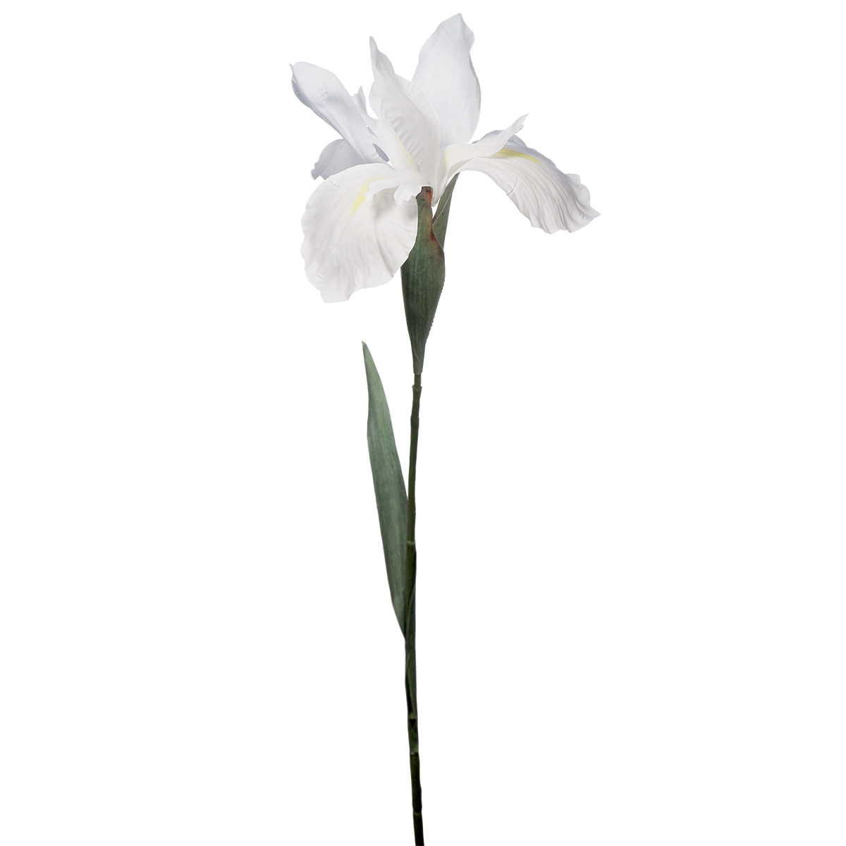 Artificial Iris Flower - 77cmL / White - Image 2