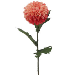 Moira Artificial Dahlia- 68cmL / Coral -1