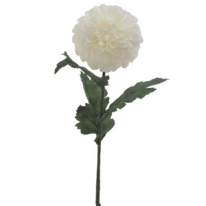 Moira Artificial Dahlia - 68cmL / White -1