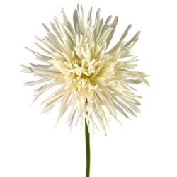 Real Touch Spider Mum - 67cm / White -1
