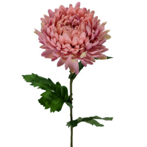 Chrysanthemum Stem - 70cmL / Mauve (Lt Pink) -1