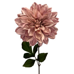 Mauve Dahlia - 60cm / Mauve/Pink -1