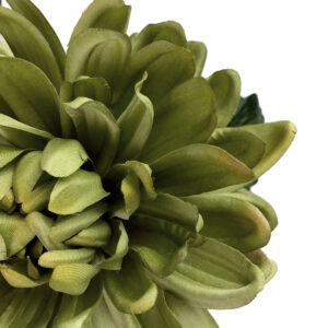 Autumn Dahlia Stem - 80cmL / Green -1