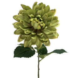 Autumn Dahlia Stem - 80cmL / Green -1