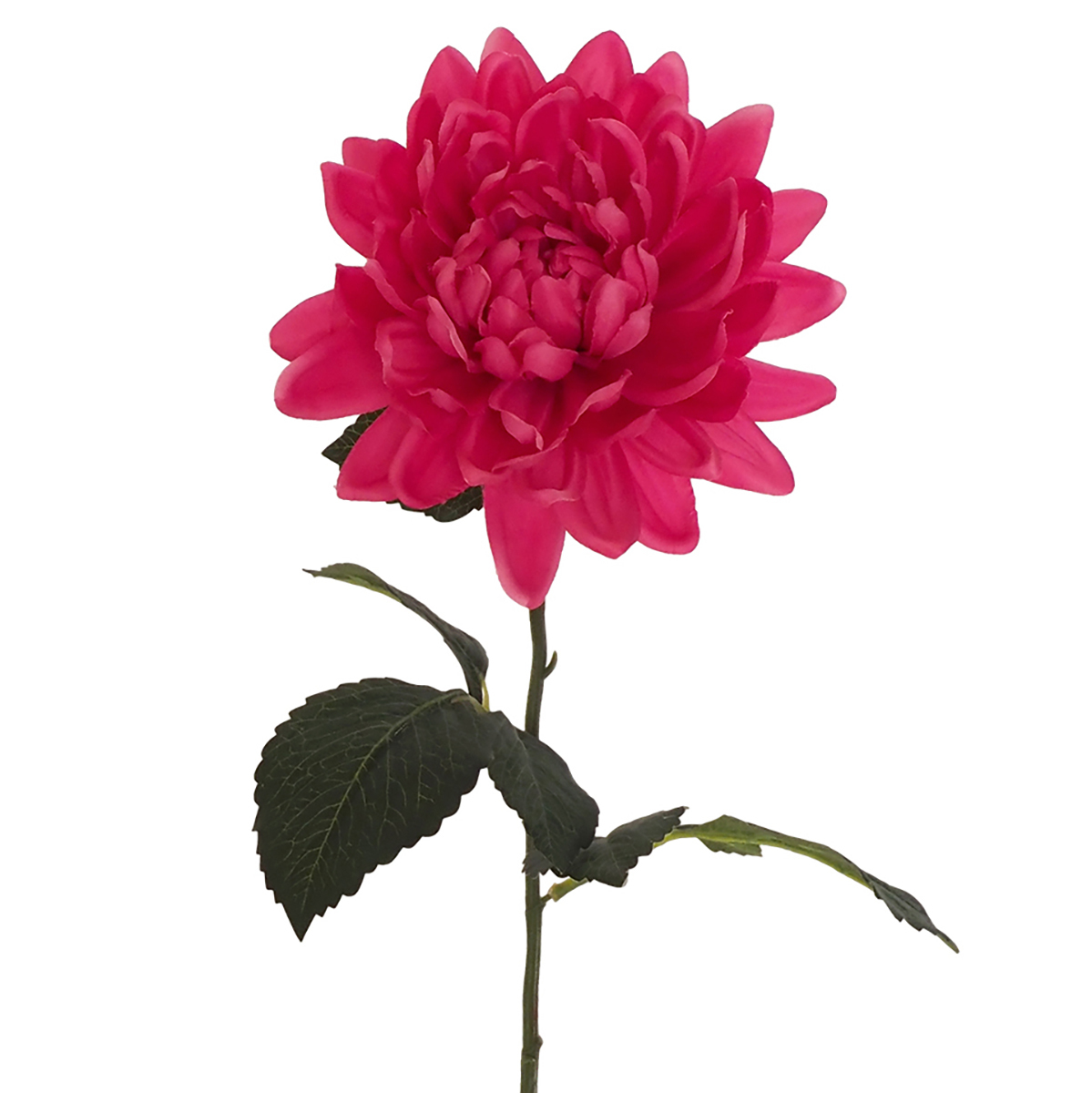 Autumn Dahlia Stem - 80cmL / Fuchsia -1