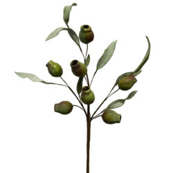 Gumnut Spray - 17.5cm / Green -1