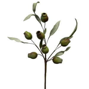 Gumnut Spray - 17.5cm / Green -1