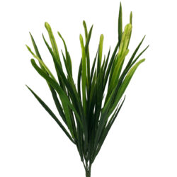 hain Sword & Flax Grass - 35cm -1