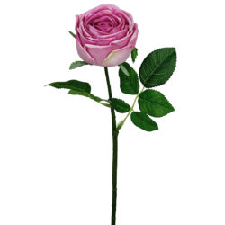 Real Touch Austin Artificial Rose - 43cmL / Pink