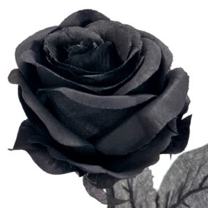 Shadow Artificial Rose - 50cmL / Black -1