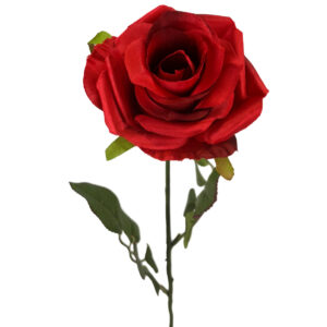Open Rose - 52.5cm / Red -1