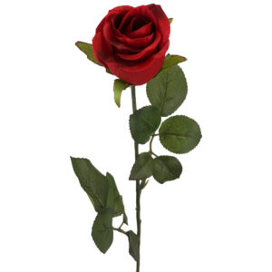 Rose Bud - 53cm / Red -1