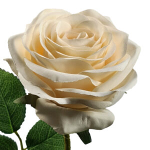 Eliza Artificial Rose - 65cmL / Soft Cream -1