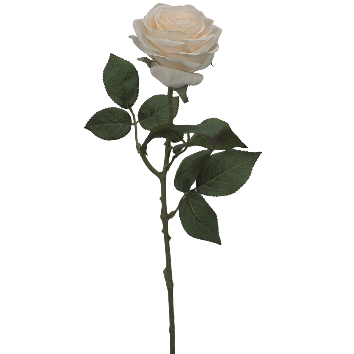 Eliza Artificial Rose - 65cmL / Soft Cream -1