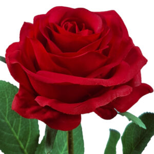 Eliza Artificial Rose - 65cmL / Red -1