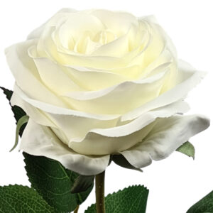 Eliza Artificial Rose - 65cmL / White -1